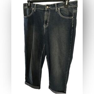 Style & Co Dark Wash Cropped Boyfriend Capri Jeans Size 14
